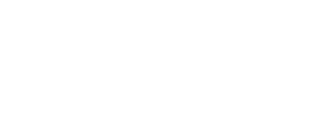 Solar & Storage Finance USA Logo NEG